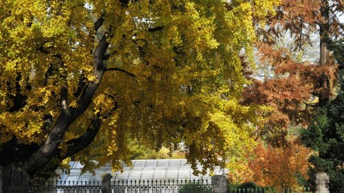 Botanischer Garten